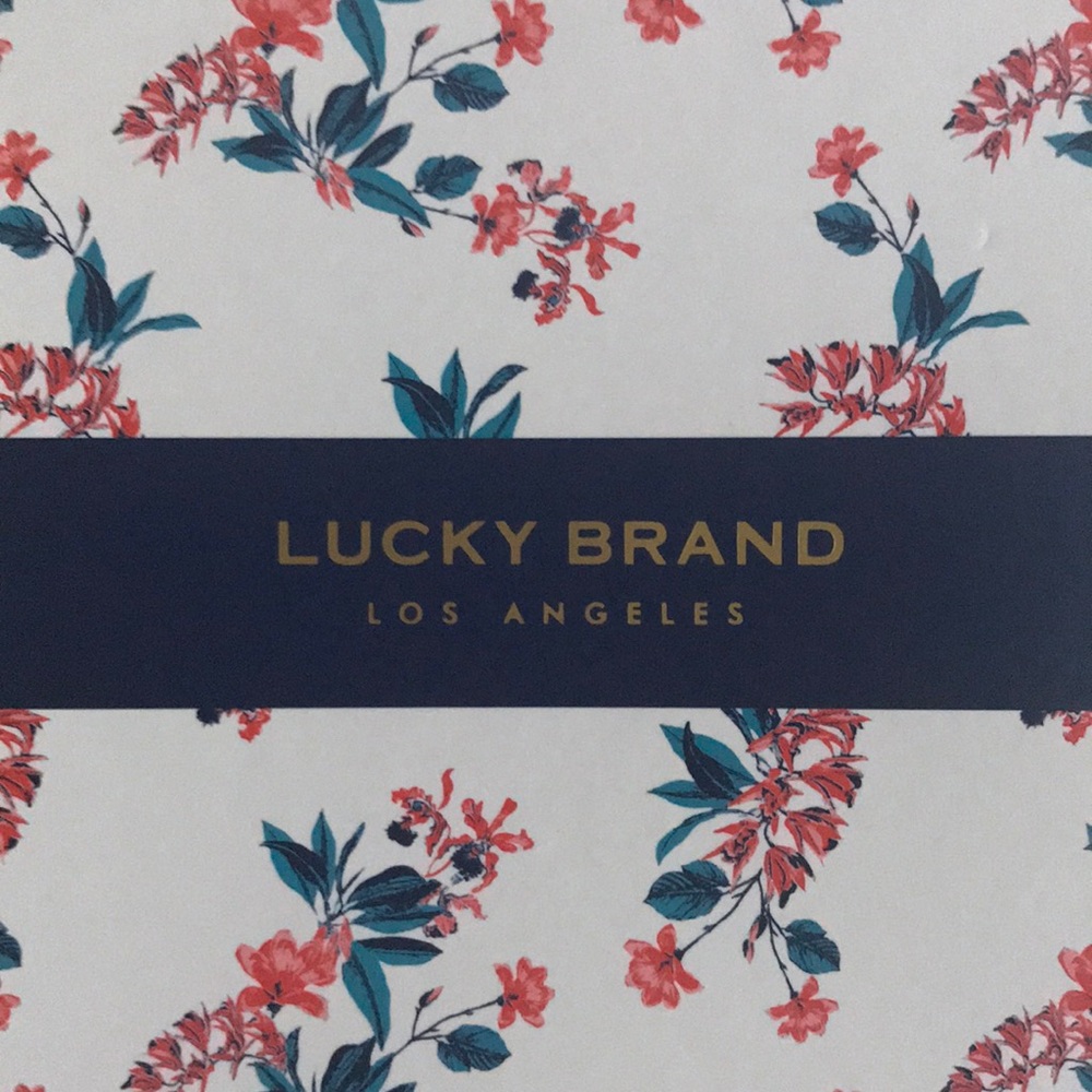 Blue and Silver Dangle Earrings NWT Lucky Brand - Picture 2 of 3